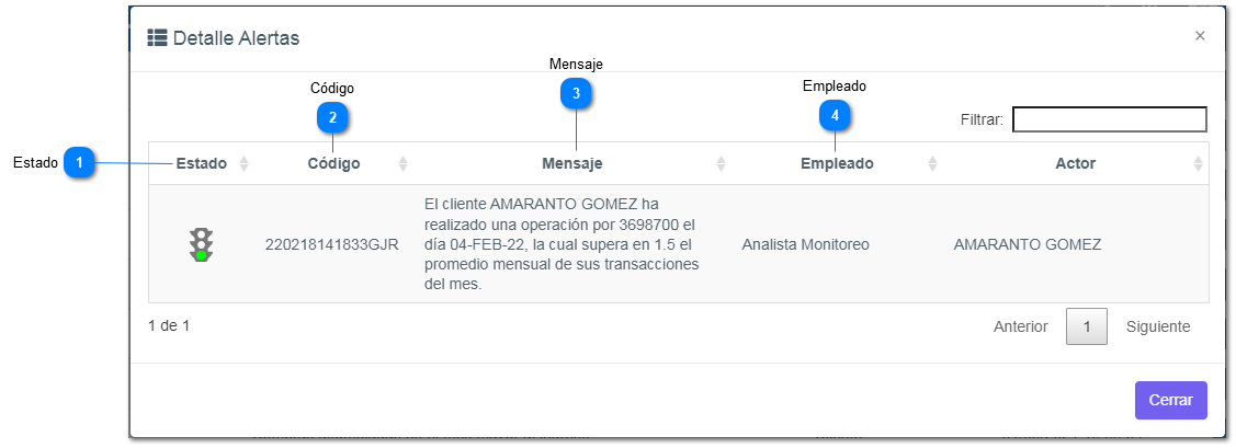 6-6.9.1. Botón de alertas