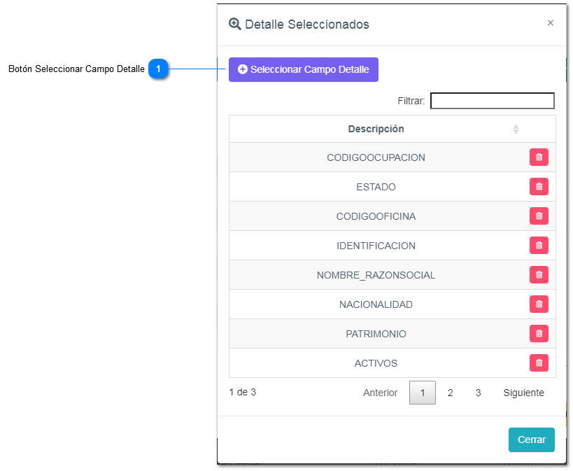 5-4.1.1. Campos seleccionados
