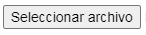 1. Botón Seleccionar archivo