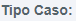 1. Tipo caso