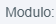 2. Modulo
