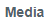 13. Media