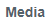 13. Media