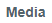 13. Media