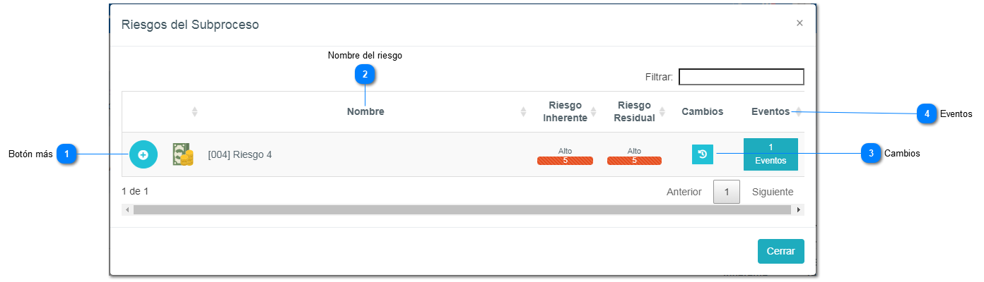 4-2.1.1.1. Riesgos